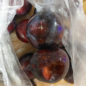 Bozuk Ve Küflü Erikler: Migros'tan Hayal Kırıklığı