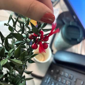 Çiçek Sepeti'nden Aldığım Kusurlu Ürün Ve İade Sorunu