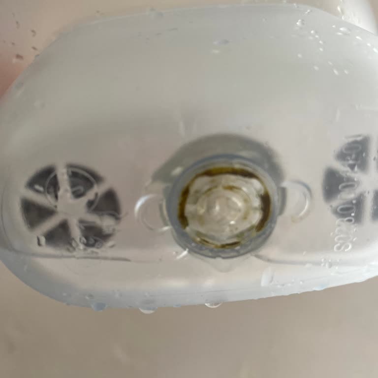 Brita Filtrede Temizlenemeyen Yosun Sorunu