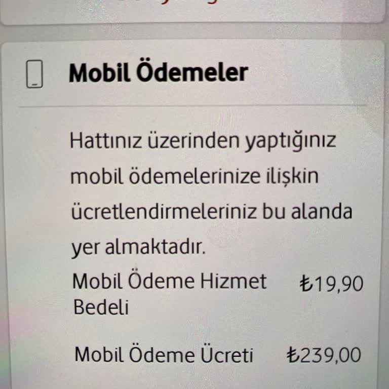 Onaysız Abonelik Ve İade Sorunu