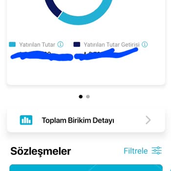 Devlet Katkısı Tutarı Neden Görünmüyor