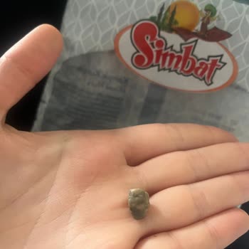 Kuruyemiş Paketinden Çıkan Taşla Şok Oldum