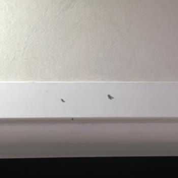 Boya Kalitesi Ve Yetersizliği Sorunu