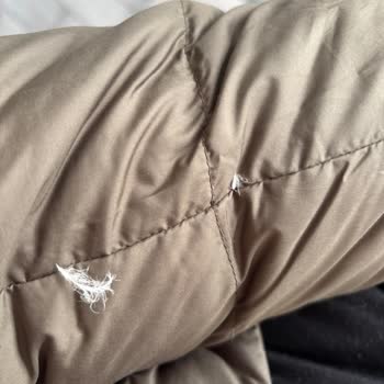 Massimo Dutti Montta Tüy Sorunu