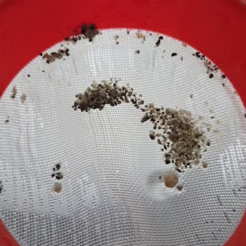 Airfel Kombi Servis Hizmetinde Sorunlar