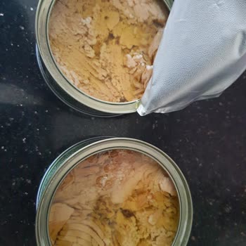 Ton Balığında Beklenmedik Yabancı Maddeler