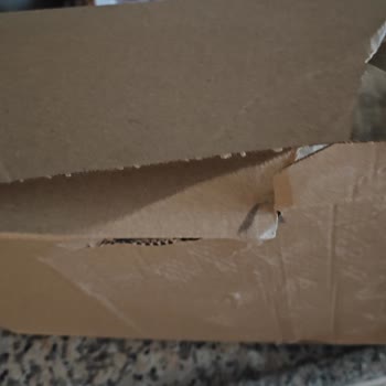 Zara Online Siparişimde Kargo Sorunu