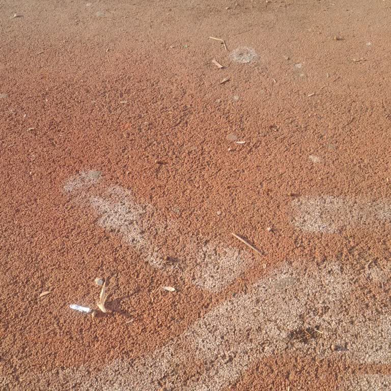 Paraf Kartım Hala Teslim Edilmedi, Bilgi Alamıyorum