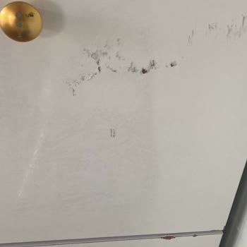 Antalya Konteyner Evin Kusurları Bitmiyor