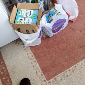 Teksüt Laktozsuz Süt Renk Ve Tat Sorunu