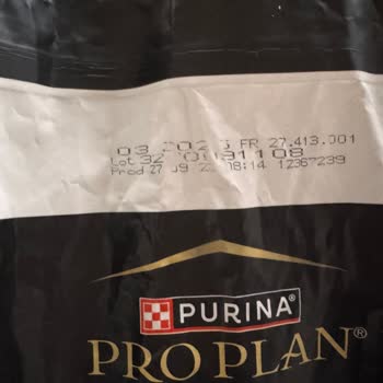 Kurtlu Köpek Maması: Sağlık Tehdidi Ve Hayal Kırıklığı