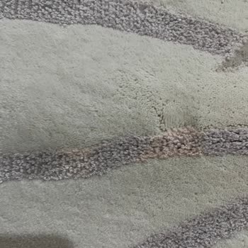 Merinos Halı Temizleme Hizmeti Sorunu