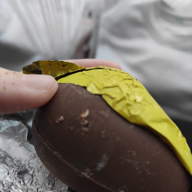 Sürpriz Yumurta Çikolatasından Kurt Çıkması