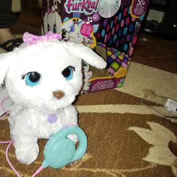 Furreal Dans Eden Köpeğim: İlk Günden İşlevsiz