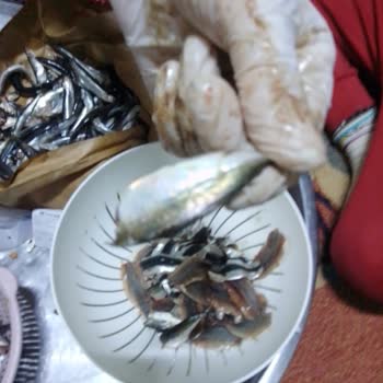 Murat Balıkçılık Hamsi Siparişinde Eksiklik Ve Müşteri Hizmetleri Sorunu!