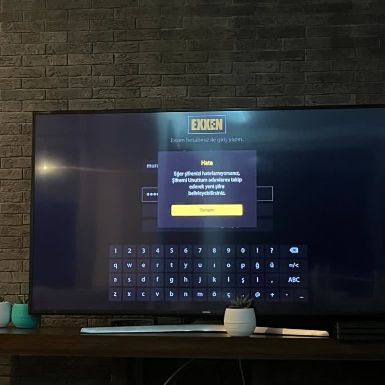 Exxen Üyelik Sorunu: Televizyonda Erişim Sağlanamıyor