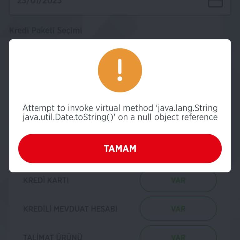 Ziraat Mobil'de Dijital Kredi Başvuru Sorunu
