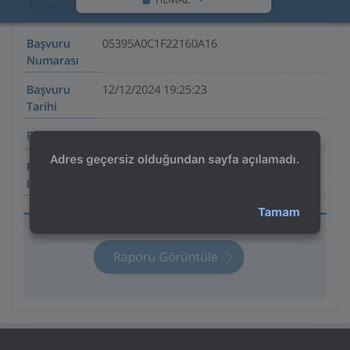 Risk Raporu Erişim Sorunu Ve Yanlış Borç Bilgileri