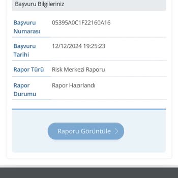 Risk Raporu Erişim Sorunu Ve Yanlış Borç Bilgileri