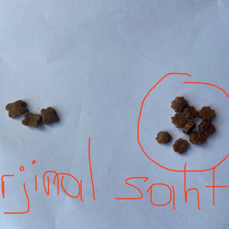 Hepsiburada Kedi Maması Şoku: Orijinal Ürün Beklentisi!