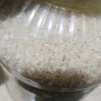 Makbul Mağazası'ndan Aldığım Pirinçte Kurtlanma Sorunu