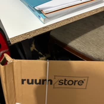 Ders Çalışma Masası Kullanımında Yaşanan Sorunlar