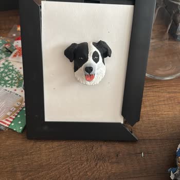 Kırık Çerçeve Ve İlgisiz Müşteri Hizmeti