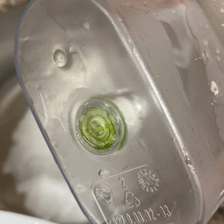 Brita Sürahimde Yosun Sorunu