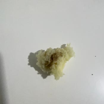 Pastaneden Aldığım Ekmeğin İçindeki Şüpheli Karışım