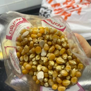 Yayla Patlayan Mısır Skandalı: Fasulye Ve Patlamayan Taneler!