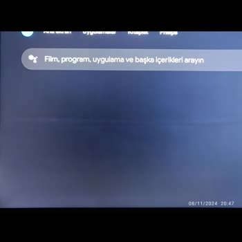 Philips TV'de Süregelen Panel Sorunu