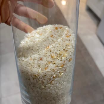Kötü Kokulu Ve Kalitesiz Pirinç