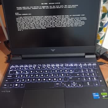 HP Windows 11 Kurulumunda Karşılaşılan Hata Ve Yardım Talebi