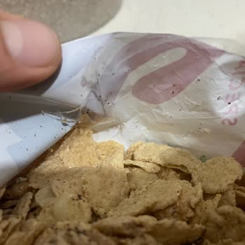 Paketli Üründe Hijyen Sorunu: Mısır Gevreğinde Örümcek Ağı