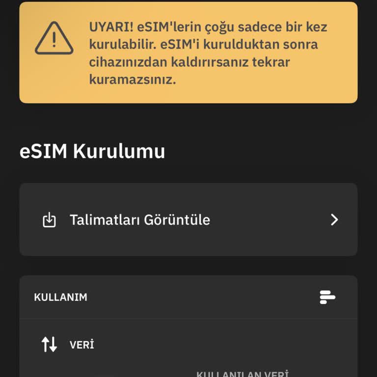 Yurt Dışı İnternet Paketlerinin Hızla Tükenmesi