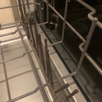 Franke Bulaşık Makinesi: Beklenmedik Çürüme Sorunları