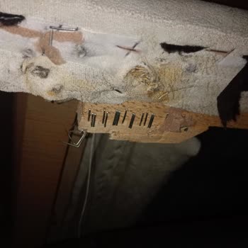 Kırık Ayaklı Ve Gıcırtılı Koltuk Sorunu