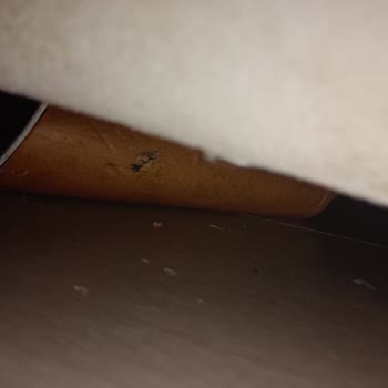 Kırık Ayaklı Ve Gıcırtılı Koltuk Sorunu