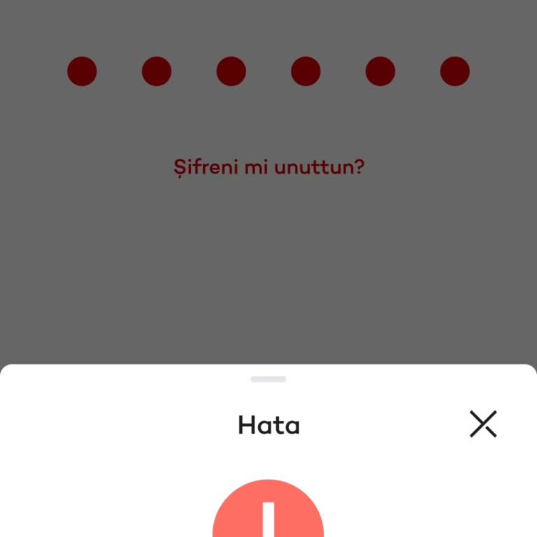 Mobil Bankacılık Erişim Sorunu