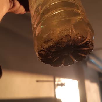 Shell Mazot Kalitesi Ve Araç Hasarı Endişesi