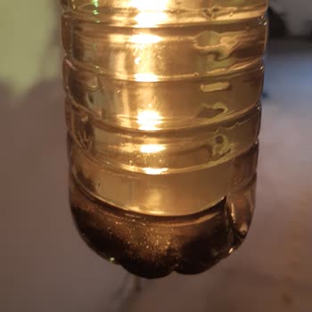 Shell Mazot Kalitesi Ve Araç Hasarı Endişesi