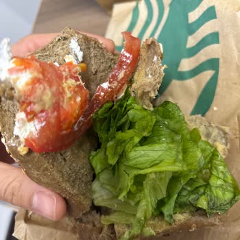 Starbucks Mücversiz Mücverli Sandviç Hayal Kırıklığı