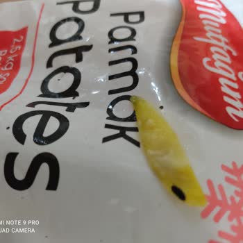 BİM'den Aldığımız Patateste Böcek Şoku!