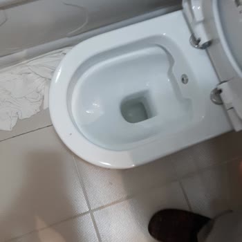 Yeni Klozet Taşında Boya Çıkması Sorunu