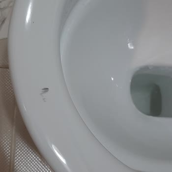 Yeni Klozet Taşında Boya Çıkması Sorunu