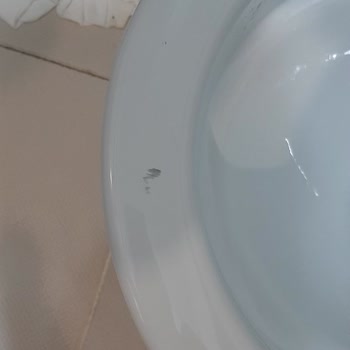 Yeni Klozet Taşında Boya Çıkması Sorunu