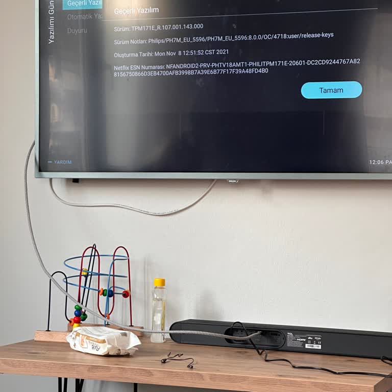Philips TV'nin Bluetooth Bağlantı Sorunu