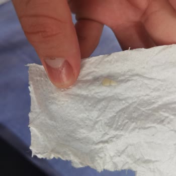 BİM'den Aldığım Helvada Şok Edici Yabancı Madde