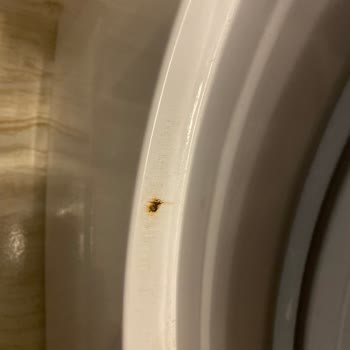 Vestel Ürünlerinde Kalite Sorunları Ve Yanıltıcı Garanti