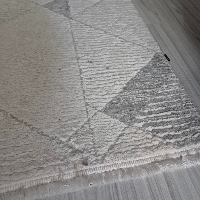 Philips Ev Aletleri Homerun 3000 Arızası